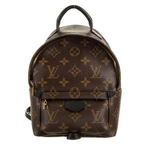 Louis Vuitton Palm Springs Mini